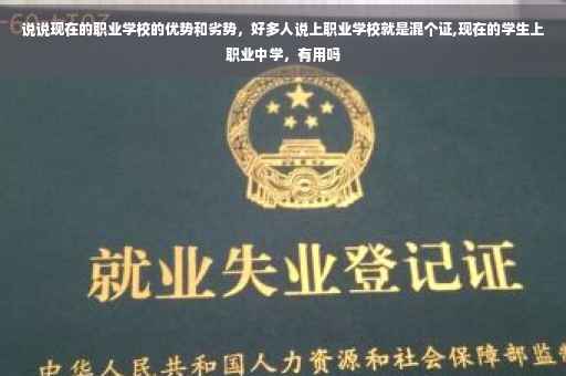 说说现在的职业学校的优势和劣势，好多人说上职业学校就是混个证,现在的学生上职业中学，有用吗