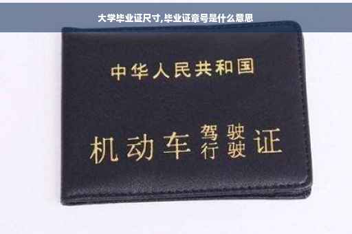 大学毕业证尺寸,毕业证章号是什么意思