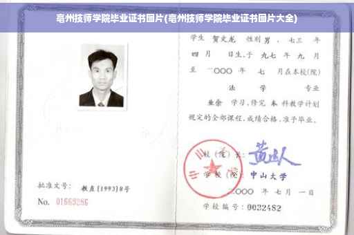 亳州技师学院毕业证书图片(亳州技师学院毕业证书图片大全)