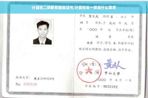 计算机二级都有哪些证书,计算机省一级是什么意思