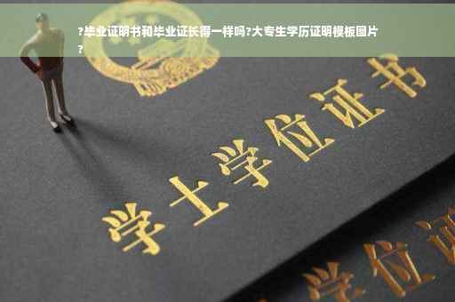 ?毕业证明书和毕业证长得一样吗?大专生学历证明模板图片
?