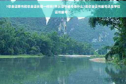 ?毕业证明书和毕业证长得一样吗?学历证书编号是什么?是毕业证书编号还是学位证书编号⚡️