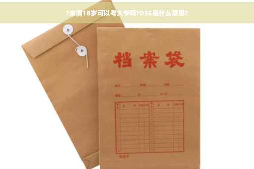 ?未满18岁可以考大学吗?DSE是什么意思?