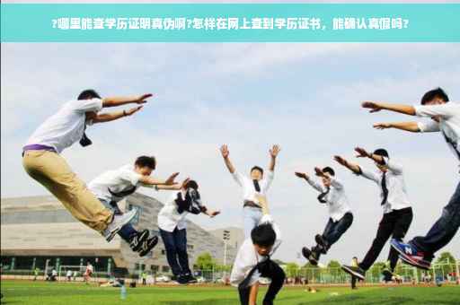 ?哪里能查学历证明真伪啊?怎样在网上查到学历证书，能确认真假吗?