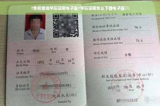 ?怎样查询学历证明电子版?学历证明怎么下载电子版⚡️