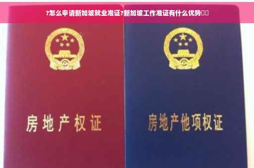 ?怎么申请新加坡就业准证?新加坡工作准证有什么优势⚡️