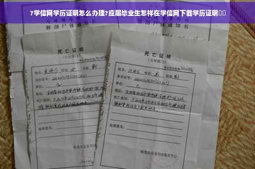?学信网学历证明怎么办理?应届毕业生怎样在学信网下载学历证明⚡️