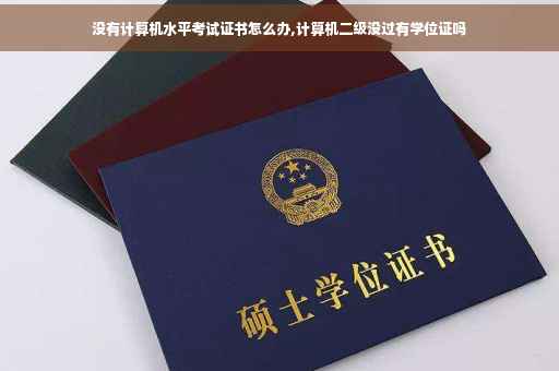 没有计算机水平考试证书怎么办,计算机二级没过有学位证吗