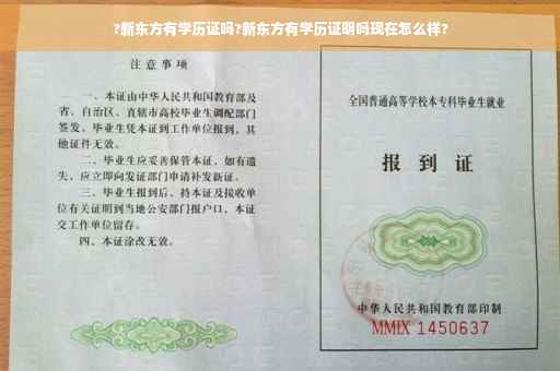 ?新东方有学历证吗?新东方有学历证明吗现在怎么样?