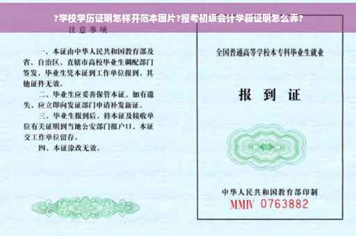 ?学校学历证明怎样开范本图片?报考初级会计学籍证明怎么弄?