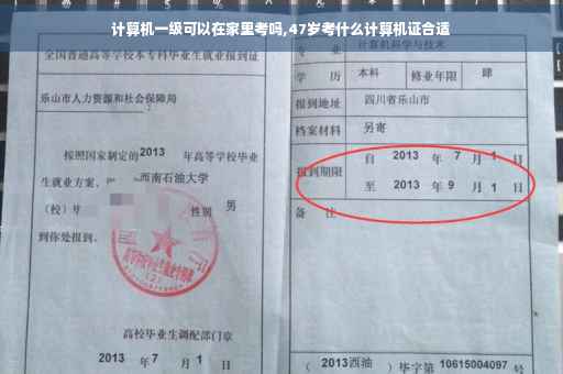 计算机一级可以在家里考吗,47岁考什么计算机证合适