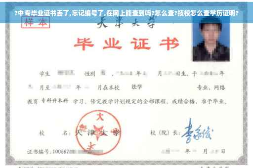 ?中专毕业证书丢了,忘记编号了,在网上能查到吗?怎么查?技校怎么查学历证明?