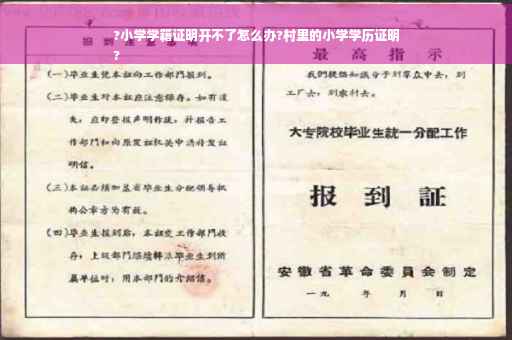 ?小学学籍证明开不了怎么办?村里的小学学历证明
?