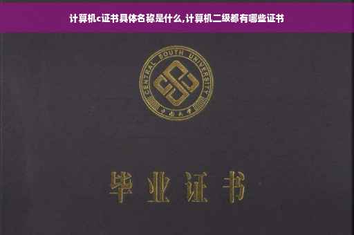 计算机c证书具体名称是什么,计算机二级都有哪些证书