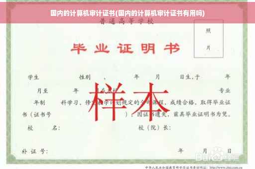 国内的计算机审计证书(国内的计算机审计证书有用吗)