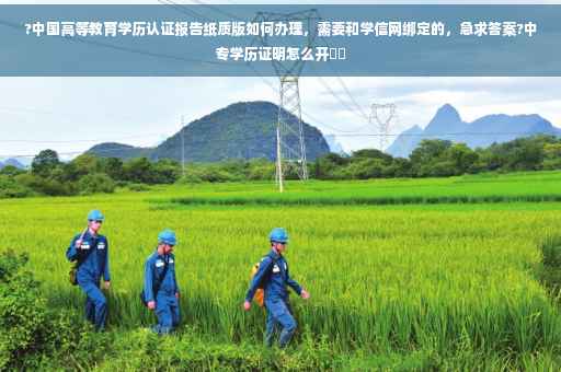 ?中国高等教育学历认证报告纸质版如何办理，需要和学信网绑定的，急求答案?中专学历证明怎么开⚡️