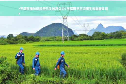 ?学籍在线验证报告已失效怎么办?学信网学历证明失效重新申请
?