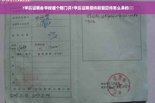 ?学历证明由学校哪个部门开?学历证明原件和复印件怎么弄的⚡️