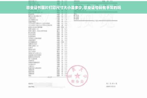 毕业证书图片打印尺寸大小是多少,毕业证号码有手写的吗