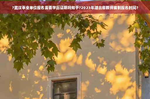 ?武汉事业单位报名需要学历证明吗知乎?2023年湖北省教师编制报名时间?