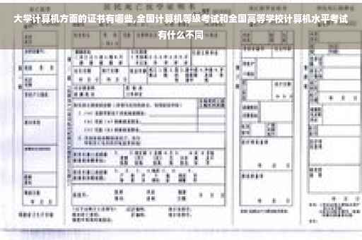 大学计算机方面的证书有哪些,全国计算机等级考试和全国高等学校计算机水平考试有什么不同