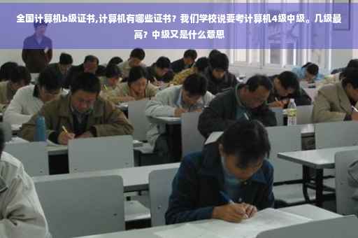 全国计算机b级证书,计算机有哪些证书？我们学校说要考计算机4级中级。几级最高？中级又是什么意思