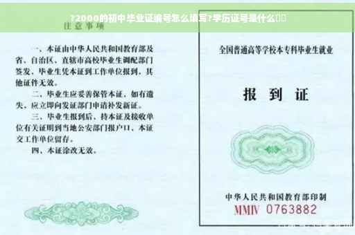 ?2000的初中毕业证编号怎么填写?学历证号是什么⚡️