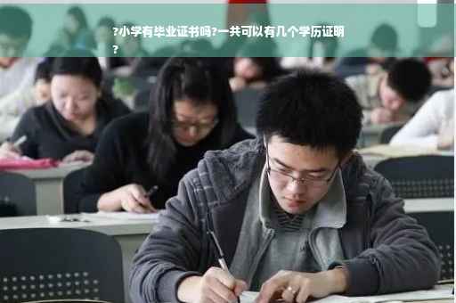 ?小学有毕业证书吗?一共可以有几个学历证明
?