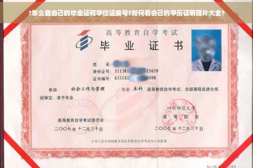 ?怎么查自己的毕业证和学位证编号?如何看自己的学历证明图片大全?