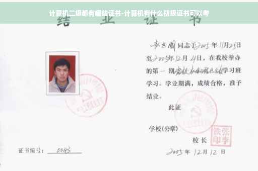 计算机二级都有哪些证书-计算机有什么初级证书可以考