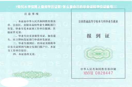 ?如何从学信网上查询学历证明?怎么查自己的毕业证和学位证编号⚡️