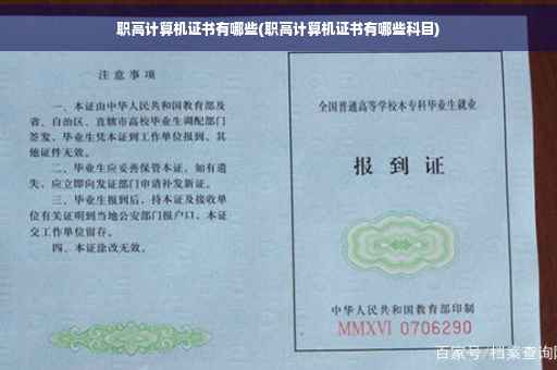 职高计算机证书有哪些(职高计算机证书有哪些科目)