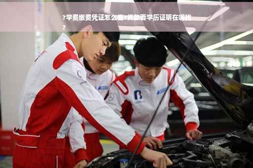 ?学费缴费凭证怎么查?贷款要学历证明在哪找
?