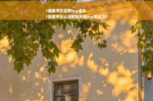 ?英国学历证明brp丢失
?英国学历认证材料没有brp怎么办?