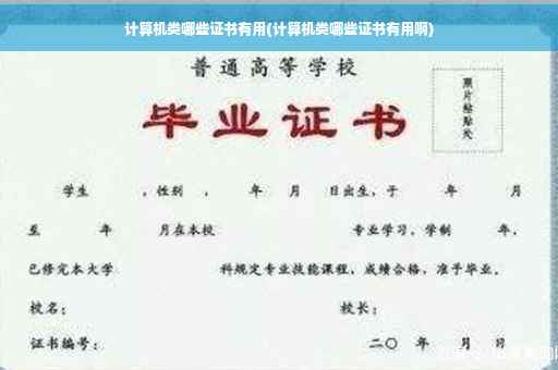 计算机类哪些证书有用(计算机类哪些证书有用啊)