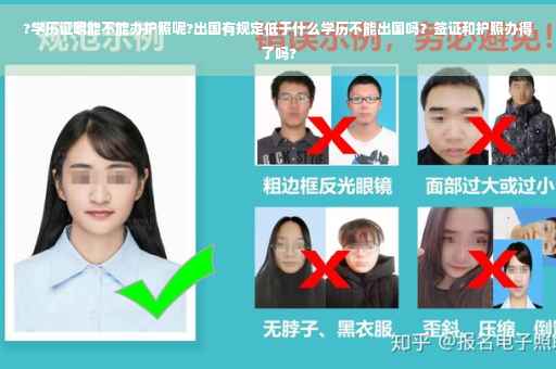?学历证明能不能办护照呢?出国有规定低于什么学历不能出国吗？签证和护照办得了吗?