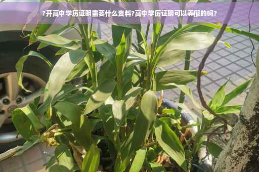 ?开高中学历证明需要什么资料?高中学历证明可以弄假的吗?