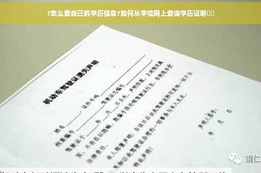 ?怎么查自己的学历信息?如何从学信网上查询学历证明⚡️