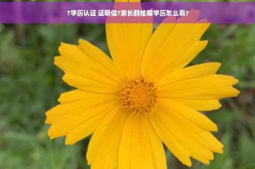 ?学历认证 证明信?家长群炫耀学历怎么看?