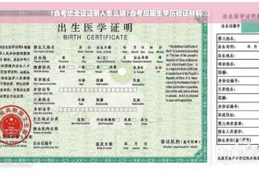 ?自考毕业证证明人怎么填?自考应届生学历验证材料⚡️
