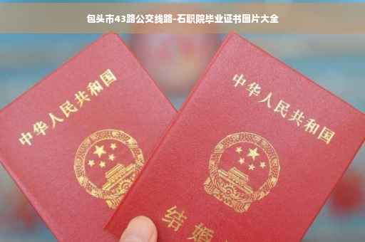 包头市43路公交线路-石职院毕业证书图片大全