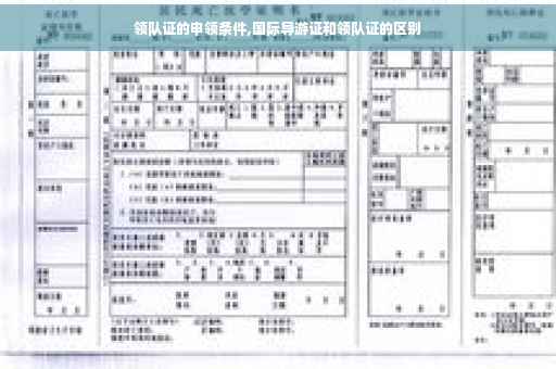 领队证的申领条件,国际导游证和领队证的区别