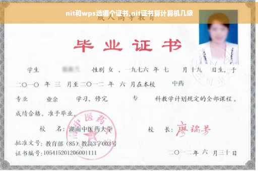 nit和wps选哪个证书,nit证书算计算机几级