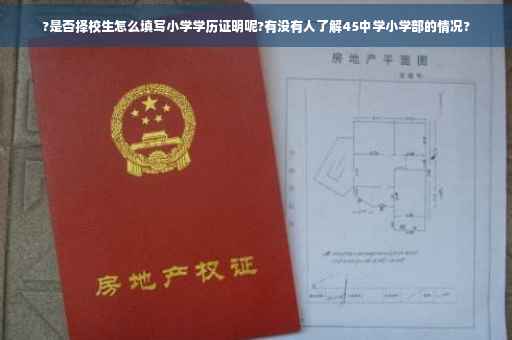 ?是否择校生怎么填写小学学历证明呢?有没有人了解45中学小学部的情况?