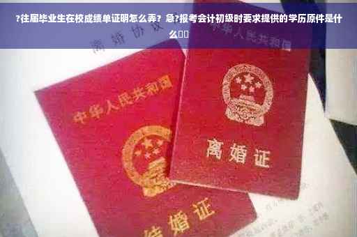 ?往届毕业生在校成绩单证明怎么弄？急?报考会计初级时要求提供的学历原件是什么⚡️