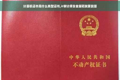 计算机证书是什么类型证书,it审计师含金量和发展前景