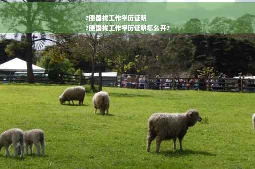 ?德国找工作学历证明
?德国找工作学历证明怎么开?