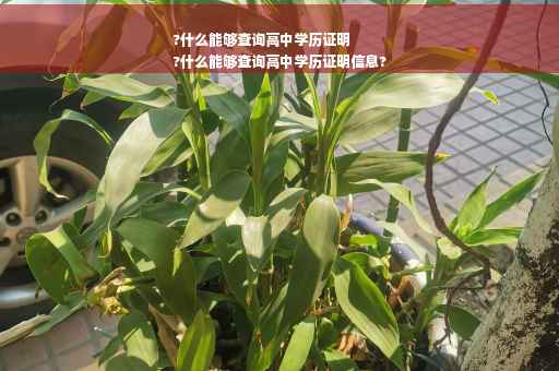 ?什么能够查询高中学历证明
?什么能够查询高中学历证明信息?