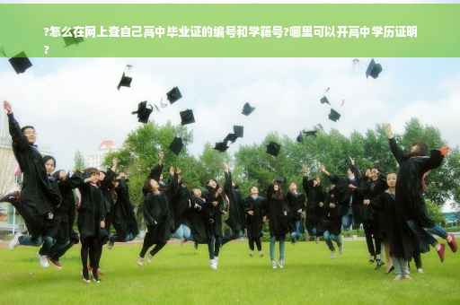 ?怎么在网上查自己高中毕业证的编号和学籍号?哪里可以开高中学历证明
?