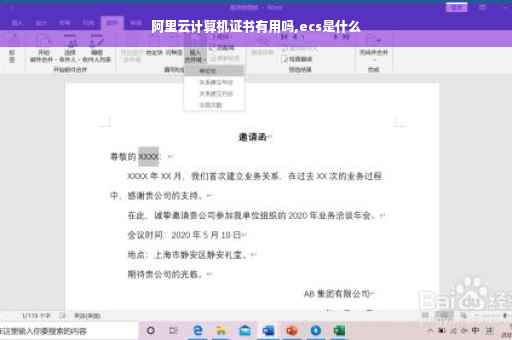 阿里云计算机证书有用吗,ecs是什么